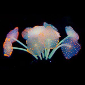 Silica Gel Aquarium For Artificial Aquarium Coral Plants - Image 5