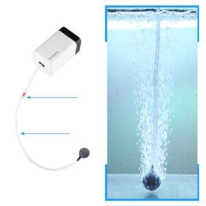 Aquarium Oxygenation Pump Aquarium Oxygenation Pump