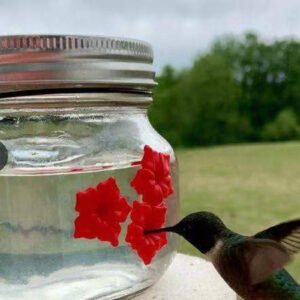 Hummingbird Feeder Plastic Flower Bird Feeder Bird Water Feeder Bottle Hanging Garden Outdoor Pet Supplies - Image 3