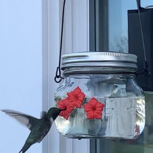 Hummingbird Feeder Plastic Flower Bird Feeder Bird Water Feeder Bottle Hanging Garden Outdoor Pet Supplies - Image 2