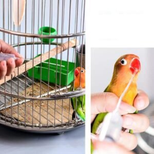 Hand-raised Parrot Breast Feeder Parrot Bird Supplies - Image 2