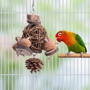 Fruit Wood Parrot Toy Bird Supplies