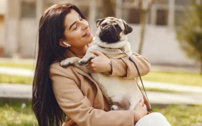 Comprehensive Guide to Dog Care