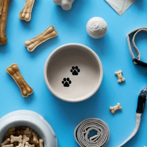 Pet Acessories