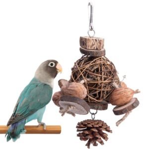 Fruit Wood Parrot Toy Bird Supplies - Image 5