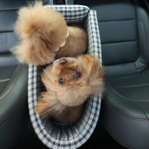 Portable Pet Dog Car Seat Central Control Nonslip Dog Carriers Safe Car Armrest Box Booster Kennel Bed For Small Cat Dog Travel - Image 3