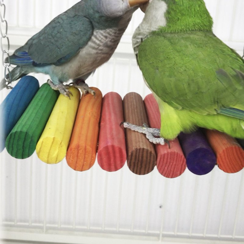 Parrot Toy Bird Supplies Colorful Swing Ladder
