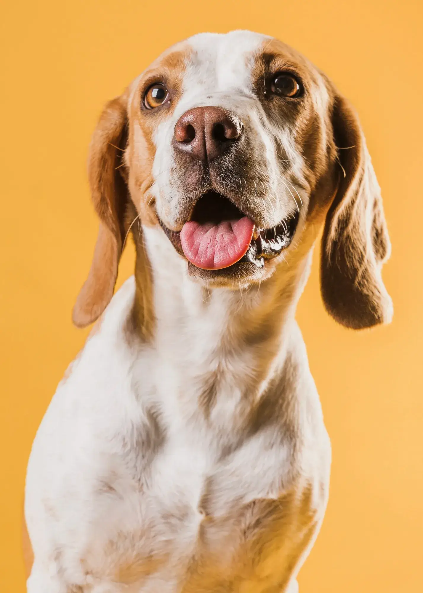 2148366909-1