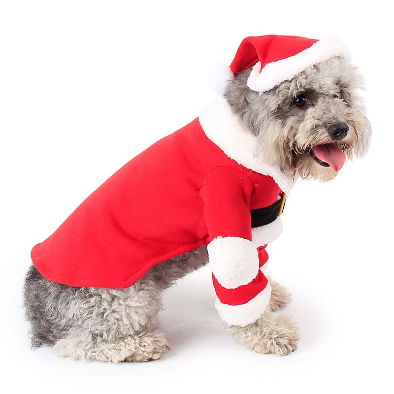 Pet Christmas Decoration Costume Pet Standing Costume - Image 7