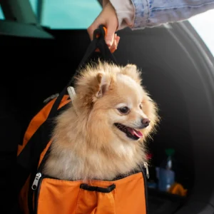 Pet Carries