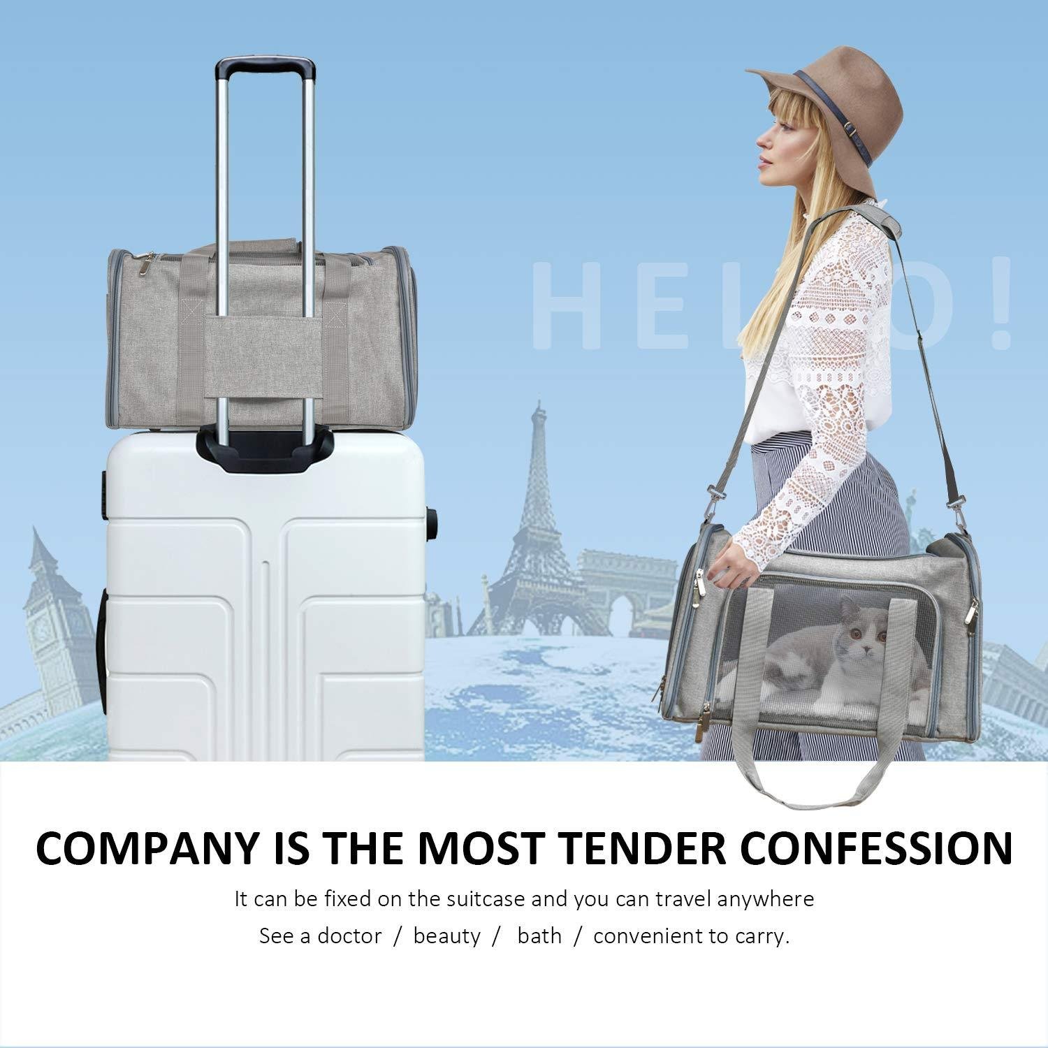 Cat Carriers Dog Carrier Pet Carrier For Small Medium Cats Dogs Puppies, TSA Airline Approved Small Dog Carrier Soft Sided, Collapsible Waterproof Travel Puppy Carrier - Image 7